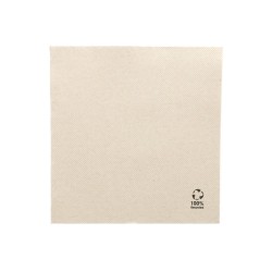 Servilleta 20x20 Double Point Eco Nature (30x100 Unds.)